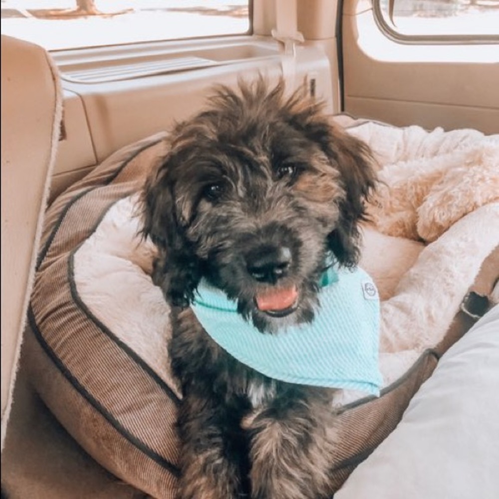 Meet your Posher, Sara catherine